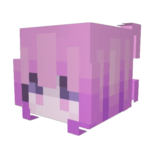 Q9Y Minecraft avatar head, 3D render