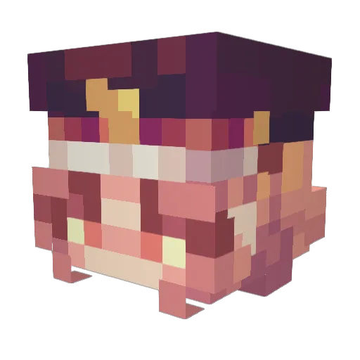 QHOJIN Minecraft avatar head, 3D render