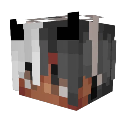 QH_O Minecraft avatar head, 3D render