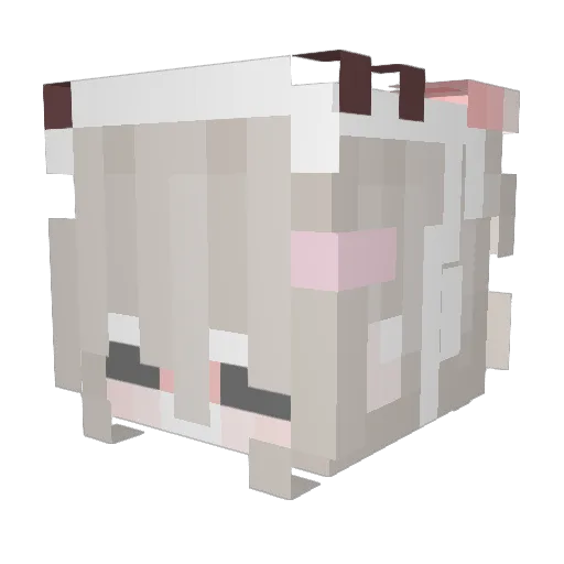 QIUDW Minecraft avatar head, 3D render