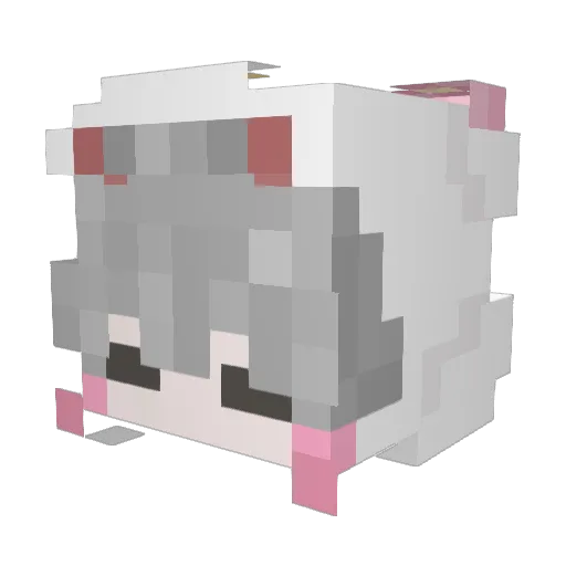 QJ_River Minecraft avatar head, 3D render