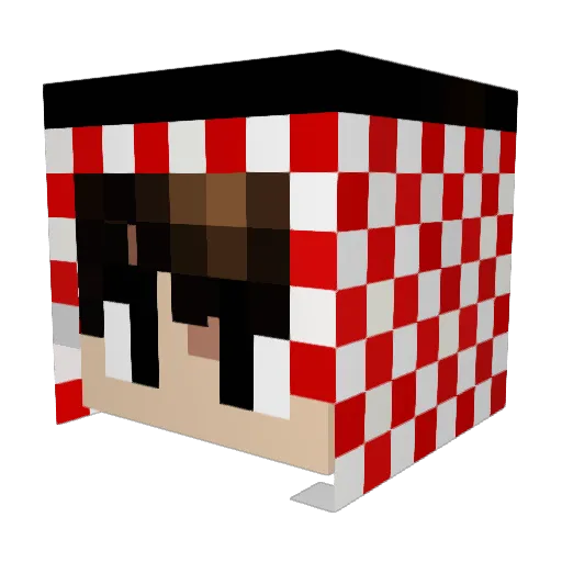 QNine16 Minecraft avatar head, 3D render