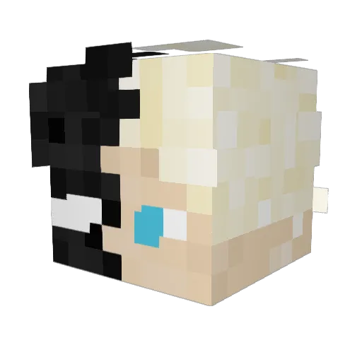 QRex55 Minecraft avatar head, 3D render