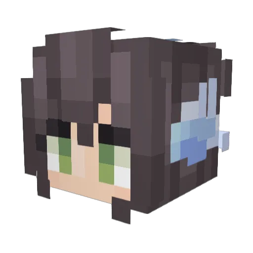 QSHHQ Minecraft avatar head, 3D render