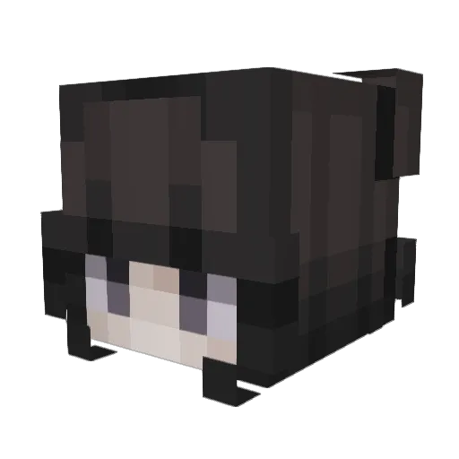 QWEENO Minecraft avatar head, 3D render