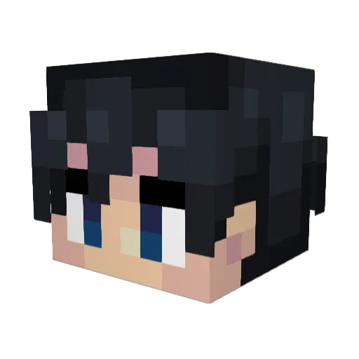 QWERT613 Minecraft avatar head, 3D render