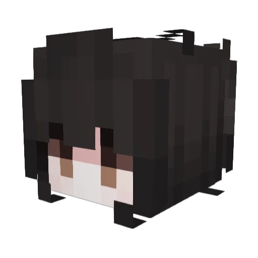 QWSXCDE Minecraft avatar head, 3D render