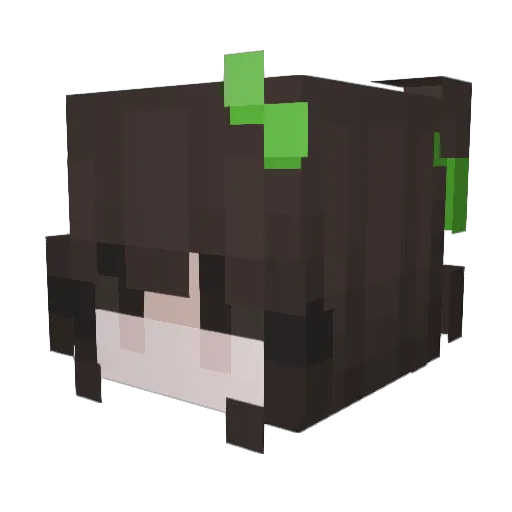 QYAO Minecraft avatar head, 3D render