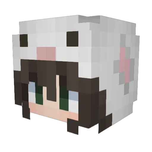 Q_4 Minecraft avatar head, 3D render