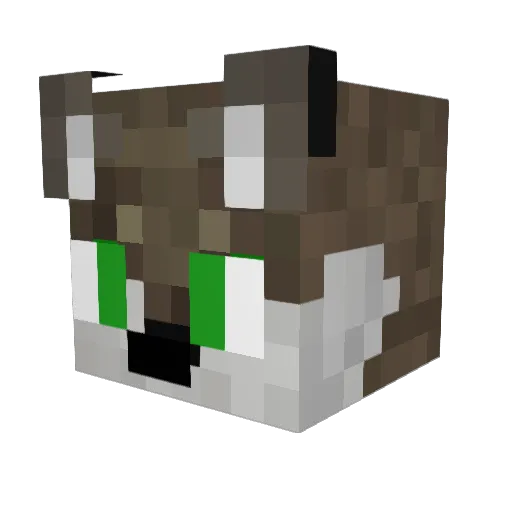 Q_Gabe_P Minecraft avatar head, 3D render