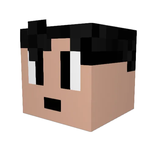 Q_Loller Minecraft avatar head, 3D render