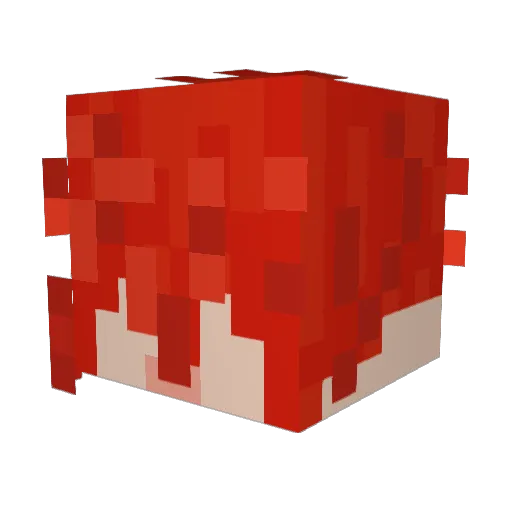 Qaathe Minecraft avatar head, 3D render
