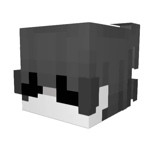 Qaevk Minecraft avatar head, 3D render