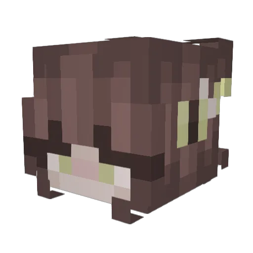 Qafy Minecraft avatar head, 3D render