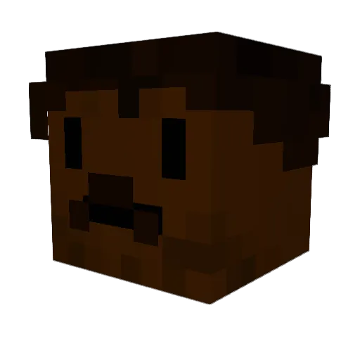 Qak_ Minecraft avatar head, 3D render