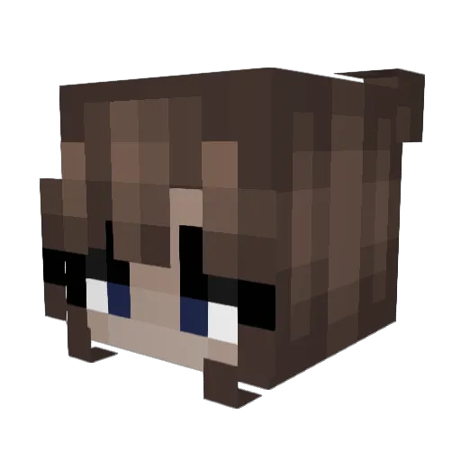 Qara85 Minecraft avatar head, 3D render