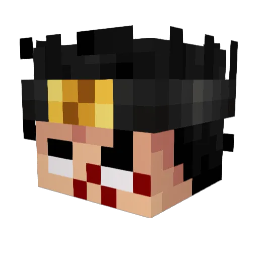 Qaro20 Minecraft avatar head, 3D render