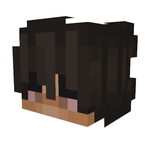 QarterQ Minecraft avatar head, 3D render