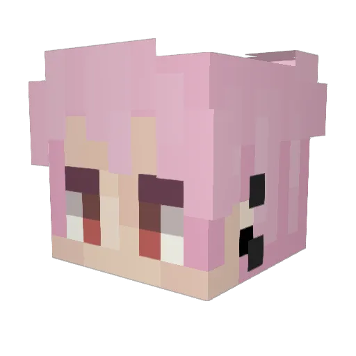 QatherRINe Minecraft avatar head, 3D render