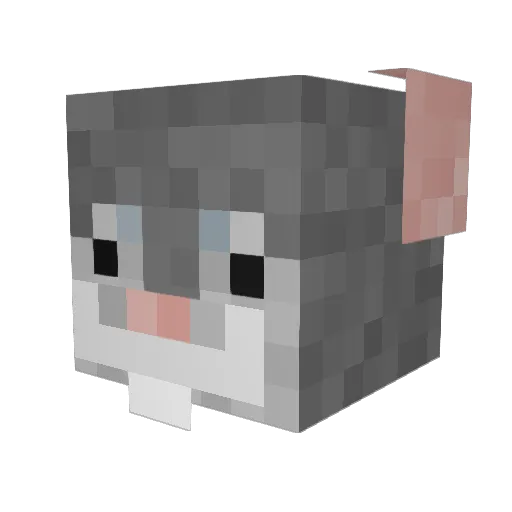 Qauck00 Minecraft avatar head, 3D render