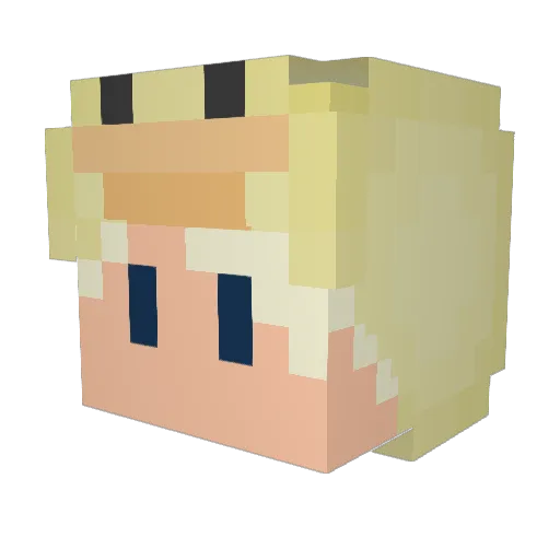 Qaucks Minecraft avatar head, 3D render
