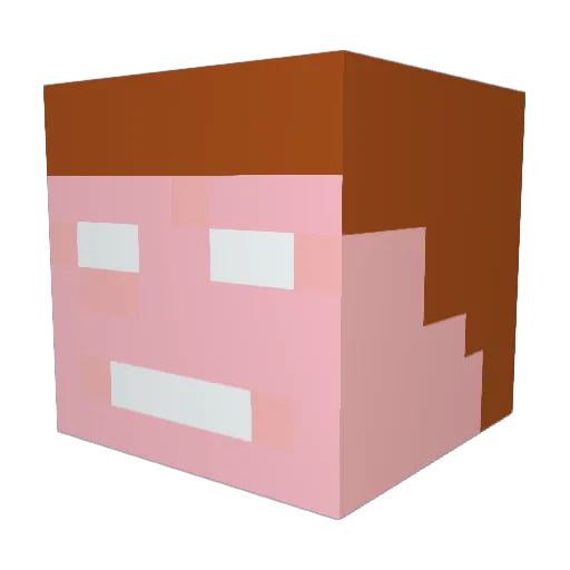 Qball1 Minecraft avatar head, 3D render