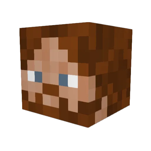 Qbert14 Minecraft avatar head, 3D render