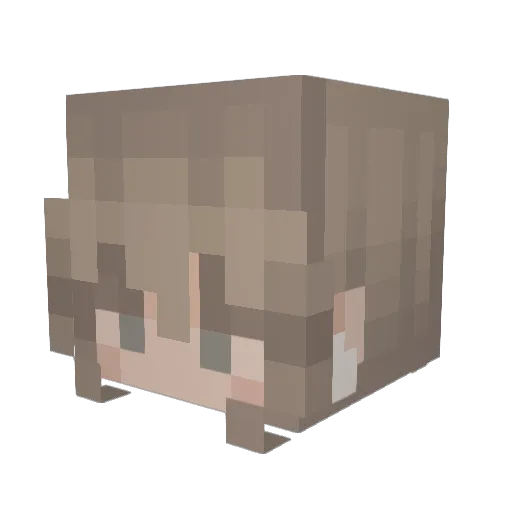 Qbert_11 Minecraft avatar head, 3D render