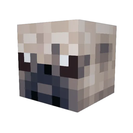 Qdogg09 Minecraft avatar head, 3D render