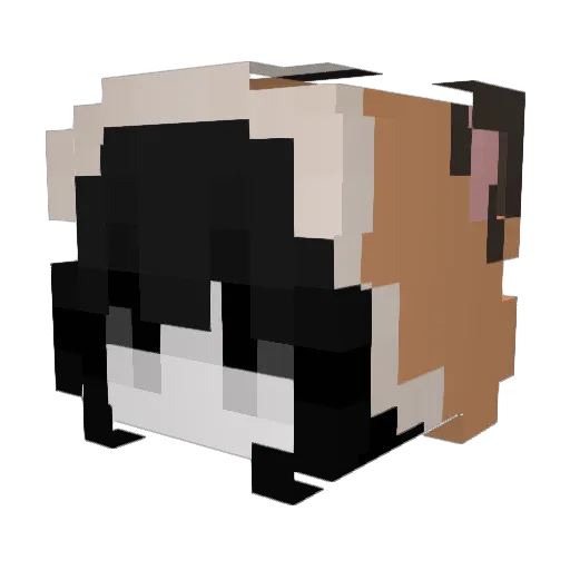 Qesse Minecraft avatar head, 3D render