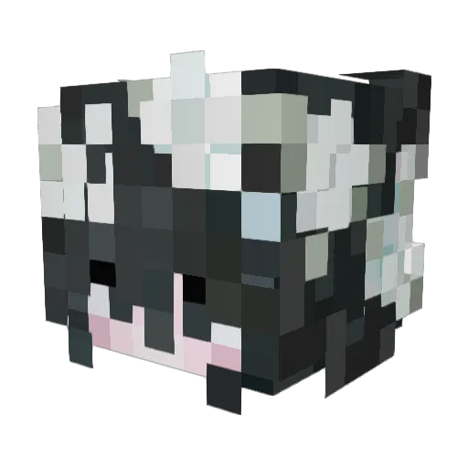 QiMing0204 Minecraft avatar head, 3D render