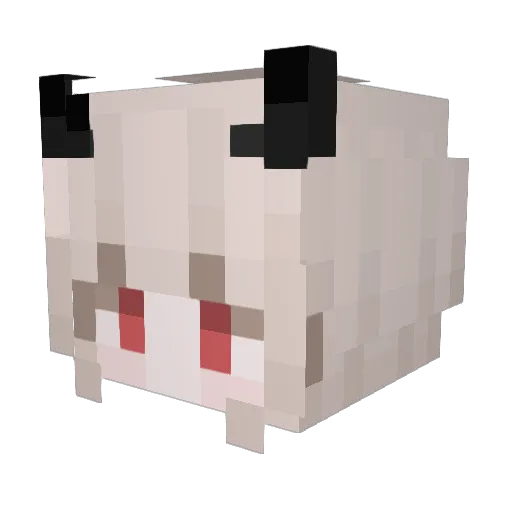 Qi_ann Minecraft avatar head, 3D render