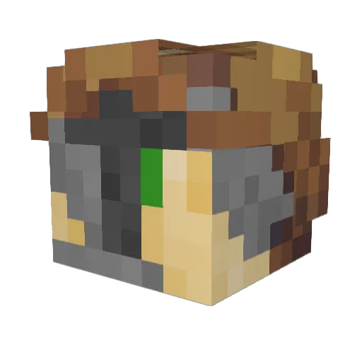 Qial9 Minecraft avatar head, 3D render