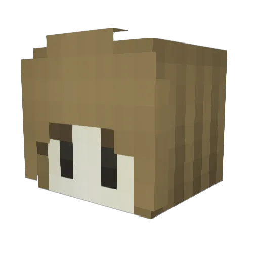 Qiankun2333 Minecraft avatar head, 3D render