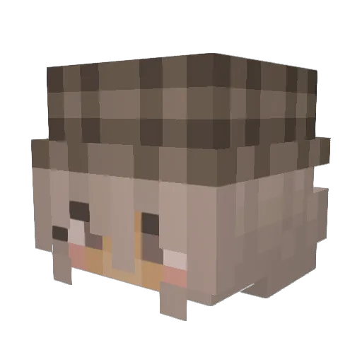 Qidzy Minecraft avatar head, 3D render