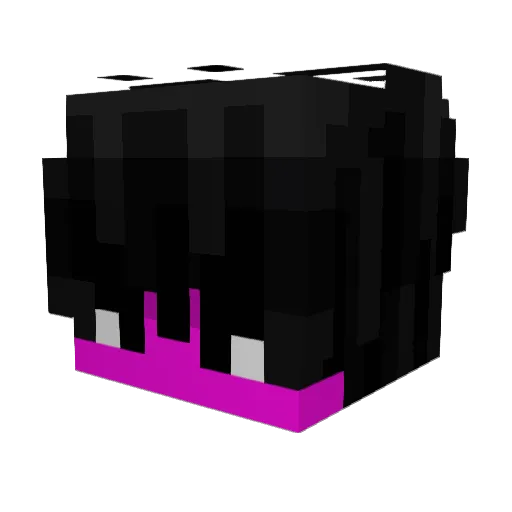 QightQightQight Minecraft avatar head, 3D render