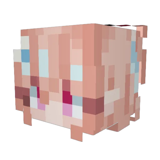Qihong_tea Minecraft avatar head, 3D render