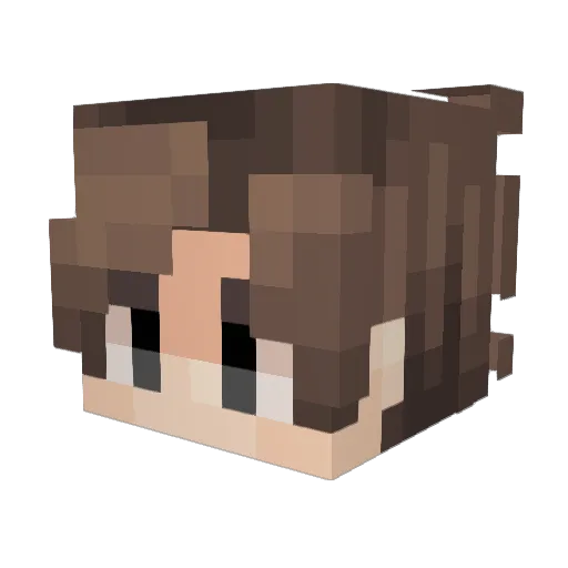 Qiloool Minecraft avatar head, 3D render