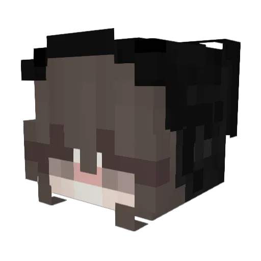 Qin_2042 Minecraft avatar head, 3D render