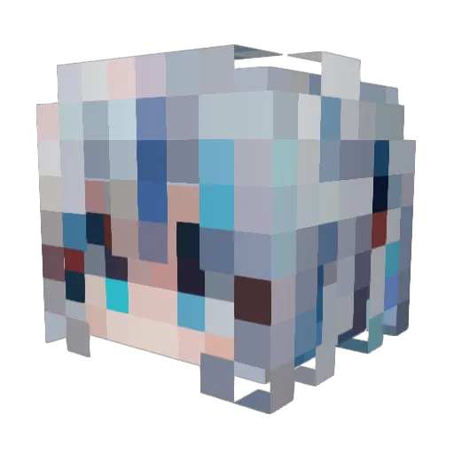 Qing1sE Minecraft avatar head, 3D render