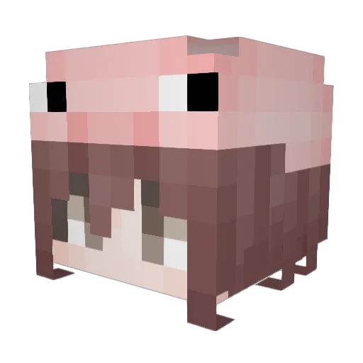 Qing__Zhan Minecraft avatar head, 3D render