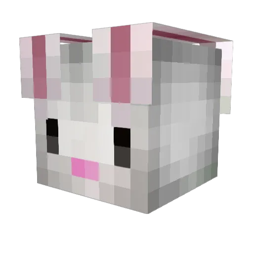 Qinley3 Minecraft avatar head, 3D render