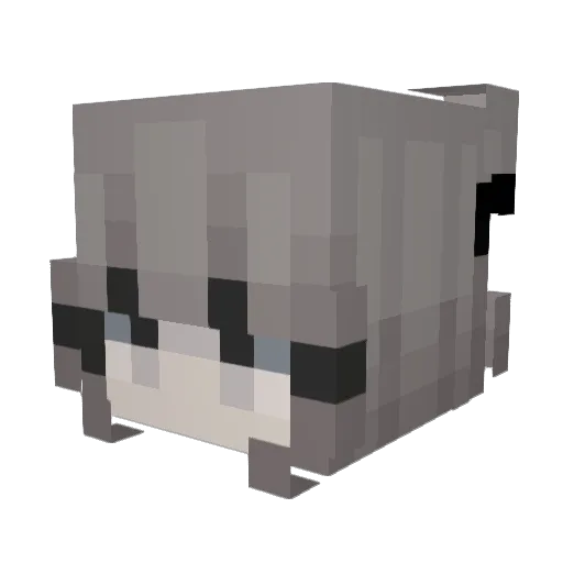 Qinmoke Minecraft avatar head, 3D render
