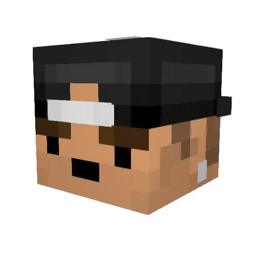 Qinnyfish Minecraft avatar head, 3D render