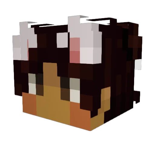 Qipey Minecraft avatar head, 3D render
