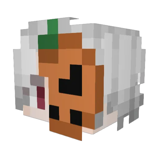 Qiu_Mao Minecraft avatar head, 3D render