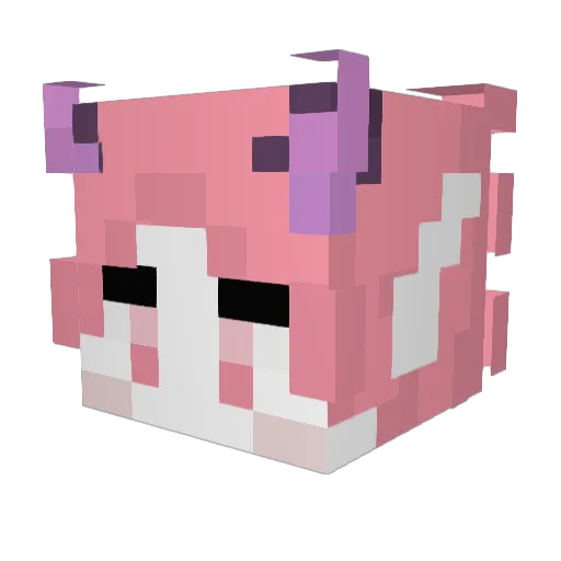 Qiulo Minecraft avatar head, 3D render