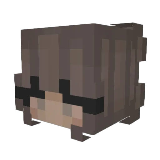 Qixlez Minecraft avatar head, 3D render