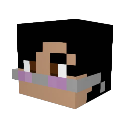 Qkwipy Minecraft avatar head, 3D render