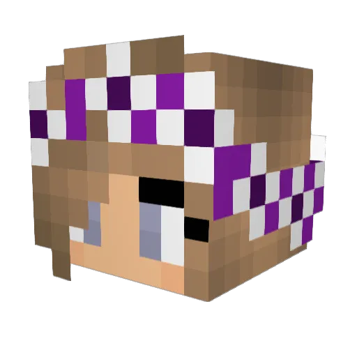 Qlime99 Minecraft avatar head, 3D render